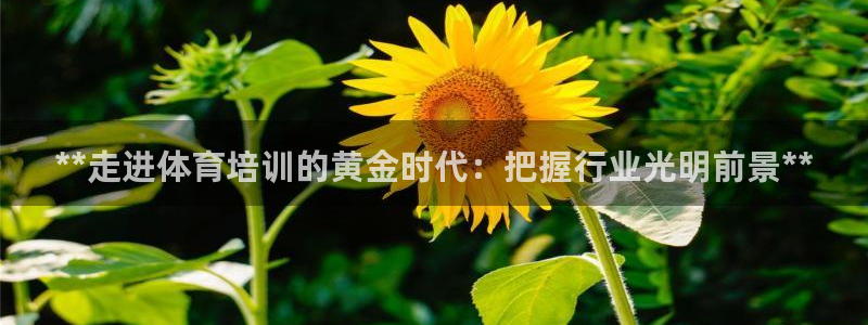 欧陆娱乐微信众：**走进体育培训的黄金时代：把握行业