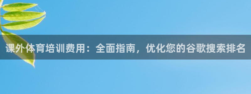 欧陆娱乐简介：课外体育培训费用：全面指南，优化您的谷