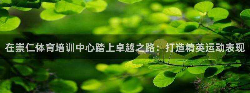 欧陆娱乐官方网站下载：在崇仁体育培训中心踏上卓越之路