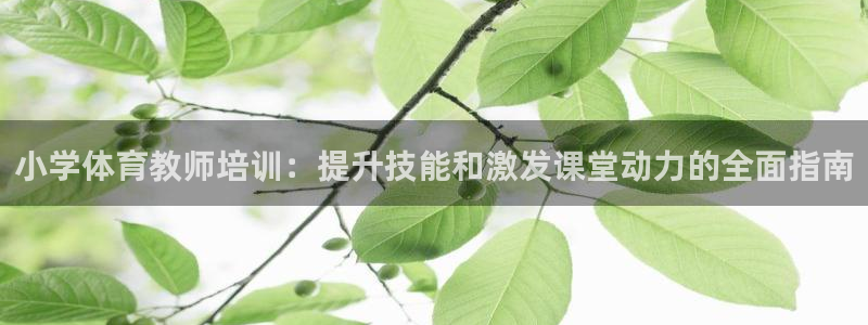 欧陆娱乐登录测速怎么关闭：小学体育教师培训：提升技能