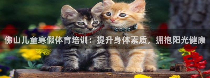 欧陆娱乐图片：佛山儿童寒假体育培训：提升身体素质，拥