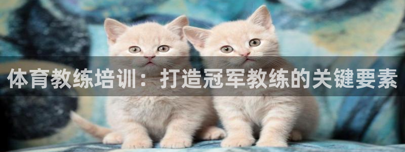 欧陆娱乐官网网址是多少：体育教练培训：打造冠军教练的