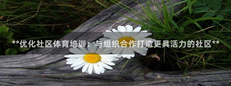欧陆娱乐怎么注册帐号：**优化社区体育培训：与组织合