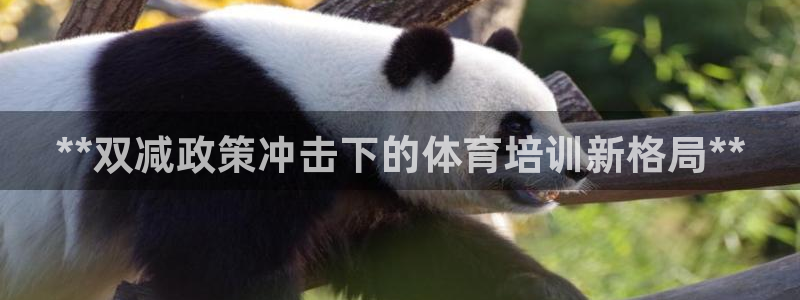 欧陆娱乐登录平台有哪些：**双减政策冲击下的体育培训