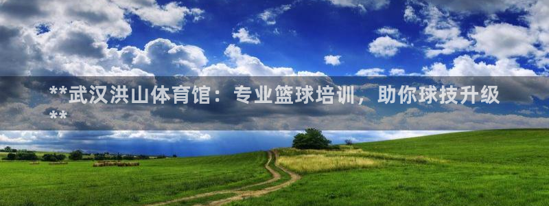 欧陆娱乐官方下载安装：**武汉洪山体育馆：专业篮球培