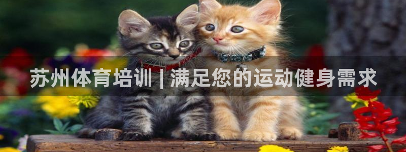 欧陆娱乐是资金盘吗：苏州体育培训 | 满足您的运动健