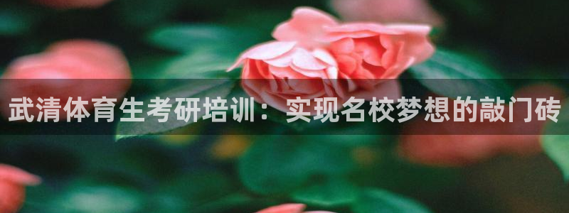 欧陆公司在哪里：武清体育生考研培训：实现名校梦想的敲
