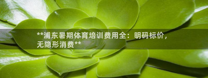 欧陆娱乐官网注册中心：**浦东暑期体育培训费用全：明码标价，