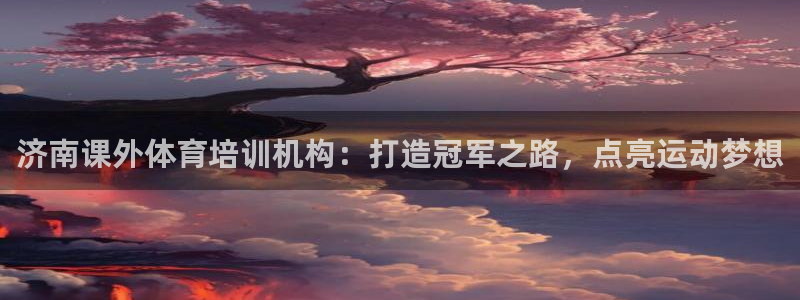 欧陆娱乐平台登录不上去怎么回事：济南课外体育培训机构