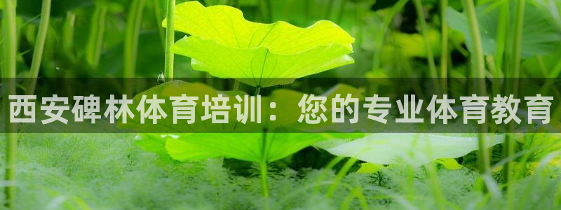 欧陆娱乐平台登录不上去怎么回事：西安碑林体育培训：您