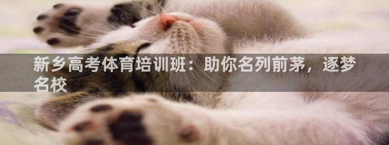 欧陆娱乐能提现嘛是真的吗：新乡高考体育培训班：助你名