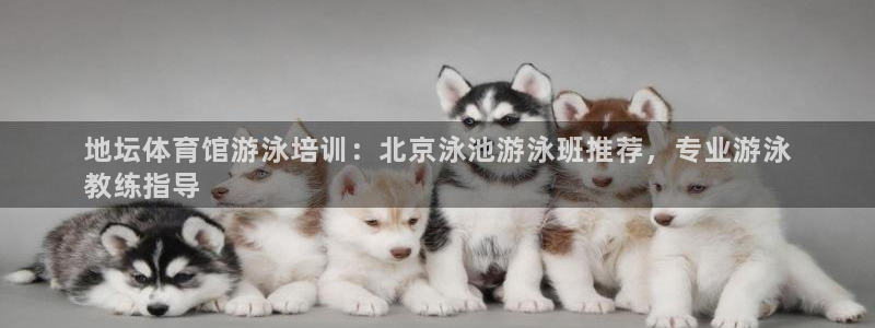 欧陆娱乐试玩官网：地坛体育馆游泳培训：北京泳池游泳班