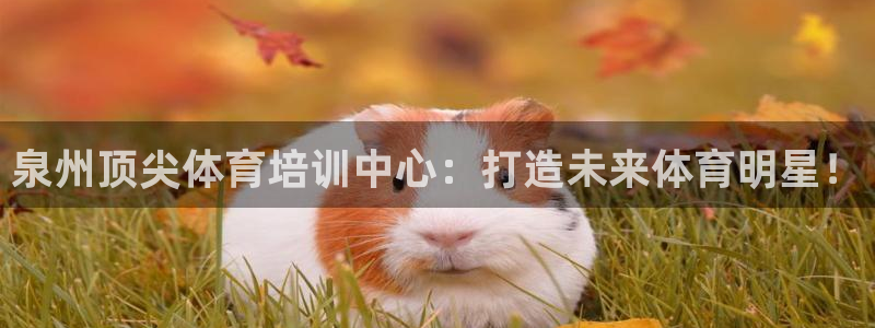 欧陆娱乐游戏特色：泉州顶尖体育培训中心：打造未来体育