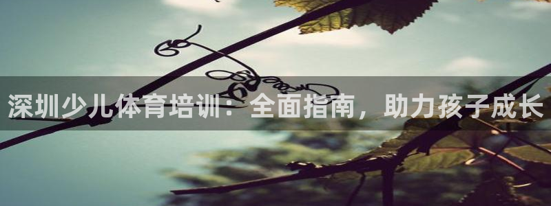 欧陆软件官网：深圳少儿体育培训：全面指南，助力孩子成