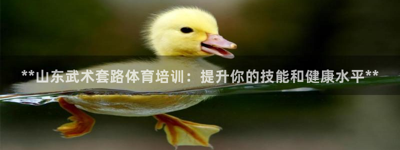 欧陆娱乐平台优势：**山东武术套路体育培训：提升你的