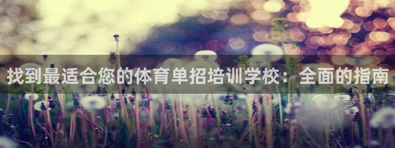 欧陆娱乐计划预测软件下载：找到最适合您的体育单招培训