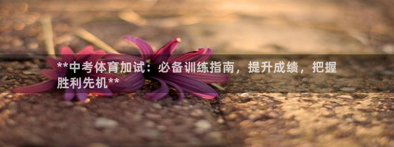欧陆娱乐打什么方案：**中考体育加试：必备训练指南，