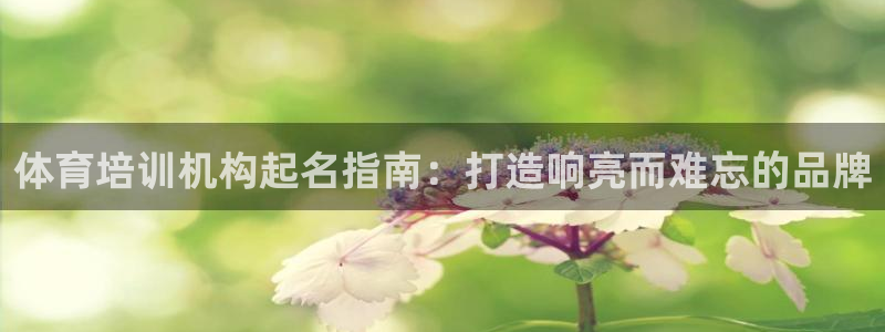 欧陆娱乐登录官网：体育培训机构起名指南：打造响亮而难忘的品牌