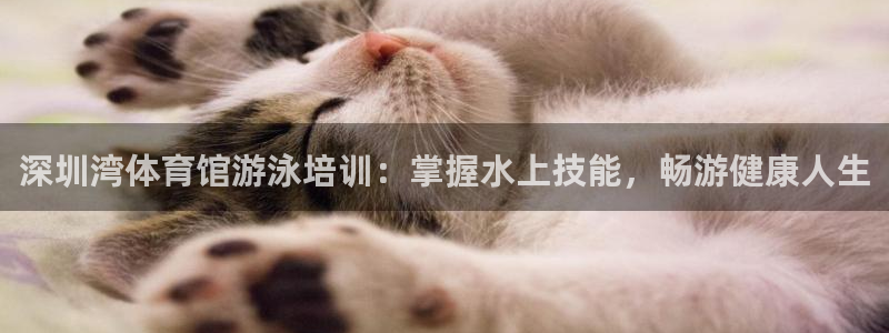 欧陆娱乐登陆平台官网：深圳湾体育馆游泳培训：掌握水上技能，畅