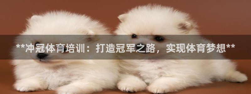 欧陆娱乐计划预测软件下载：**冲冠体育培训：打造冠军