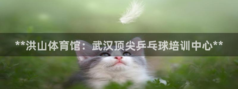 欧陆娱乐挂机怎么玩的：**洪山体育馆：武汉顶尖乒乓球