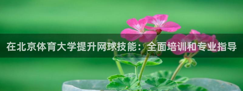 欧陆娱乐太阳：在北京体育大学提升网球技能：全面培训和