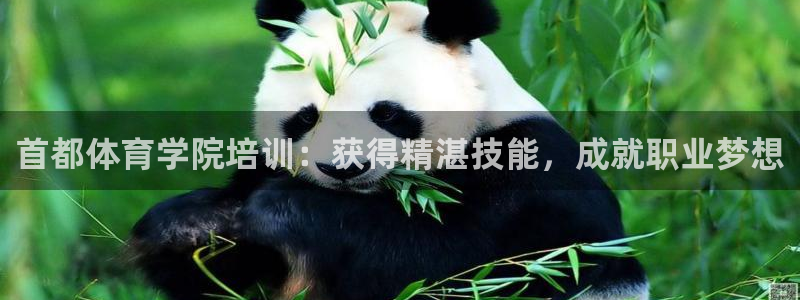 欧陆娱乐官网网址：首都体育学院培训：获得精湛技能，成