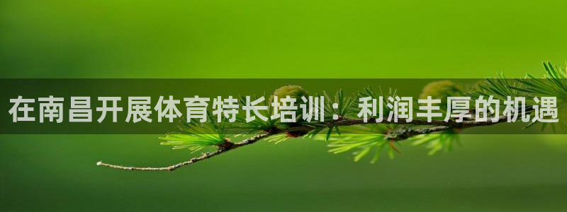 欧陆娱乐官网首页入口：在南昌开展体育特长培训：利润丰
