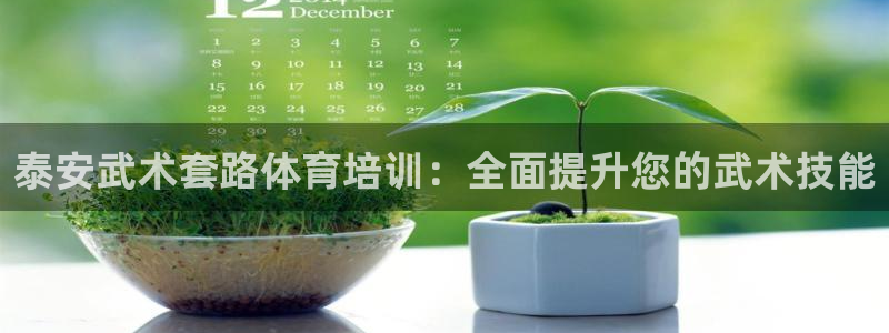 欧陆娱乐分分彩：泰安武术套路体育培训：全面提升您的武