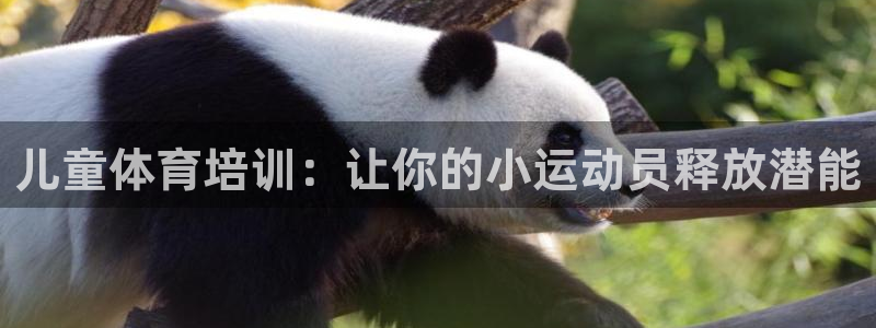 欧陆娱乐不让提现吗：儿童体育培训：让你的小运动员释放潜能