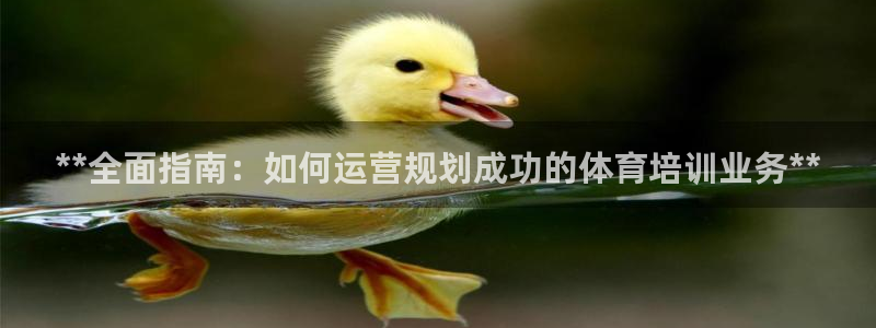 欧陆娱乐欢迎访问：**全面指南：如何运营规划成功的体