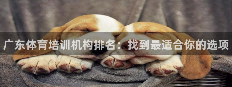 欧陆娱乐平台登陆地址是什么样的：广东体育培训机构排名