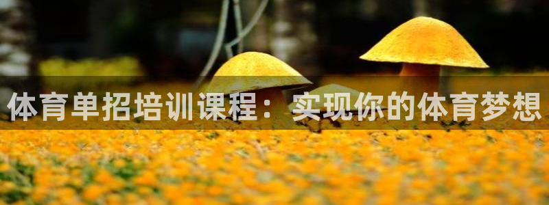 欧陆娱乐会员：体育单招培训课程：实现你的体育梦想