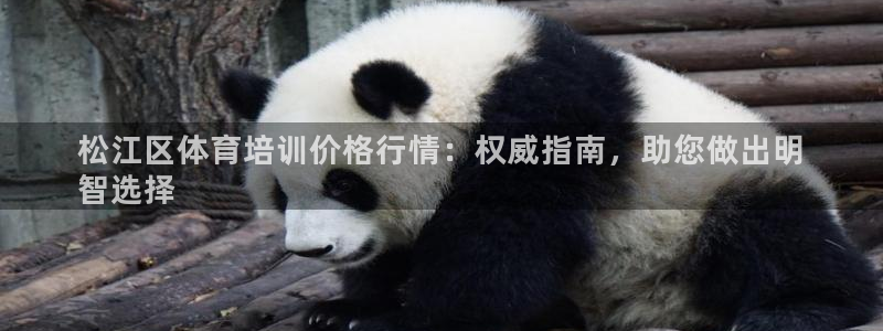 欧陆游戏平台：松江区体育培训价格行情：权威指南，助您